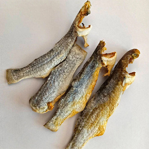 Blue Ocean Dried Mullet 227 Gm